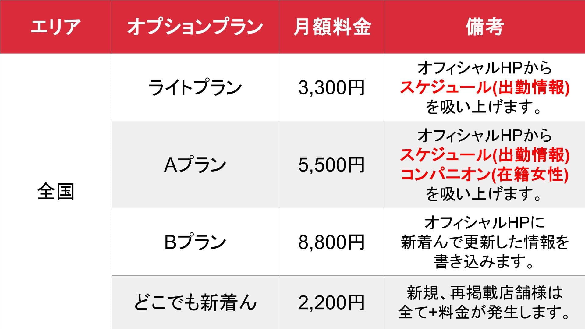 新着ん_オプション_料金表